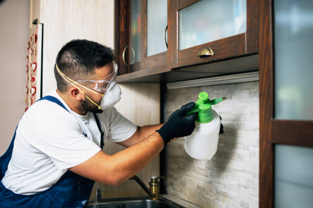 Best Mosquito Control Services  in Stratford, OK
