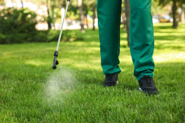 Insect Control in Stratford, OK