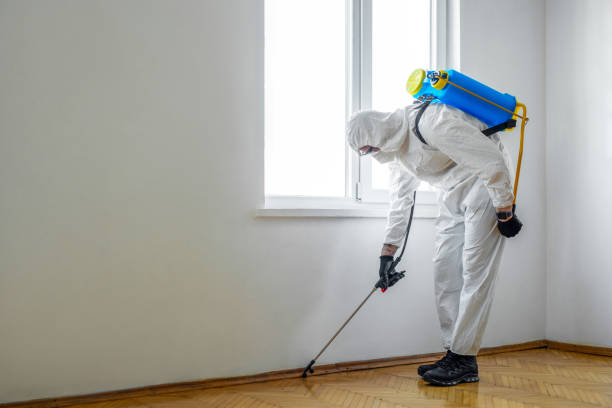 Best Cockroach Control Services  in Stratford, OK