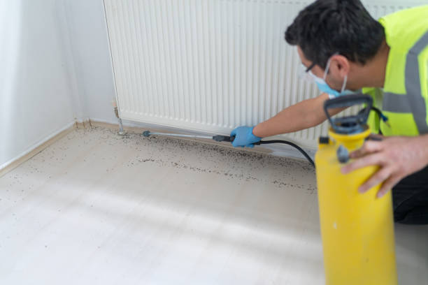 Best Best Pest Control Companies  in Stratford, OK