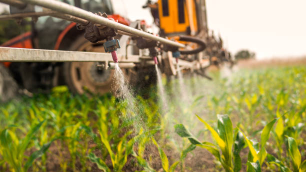 Best Mosquito Control Services  in Stratford, OK